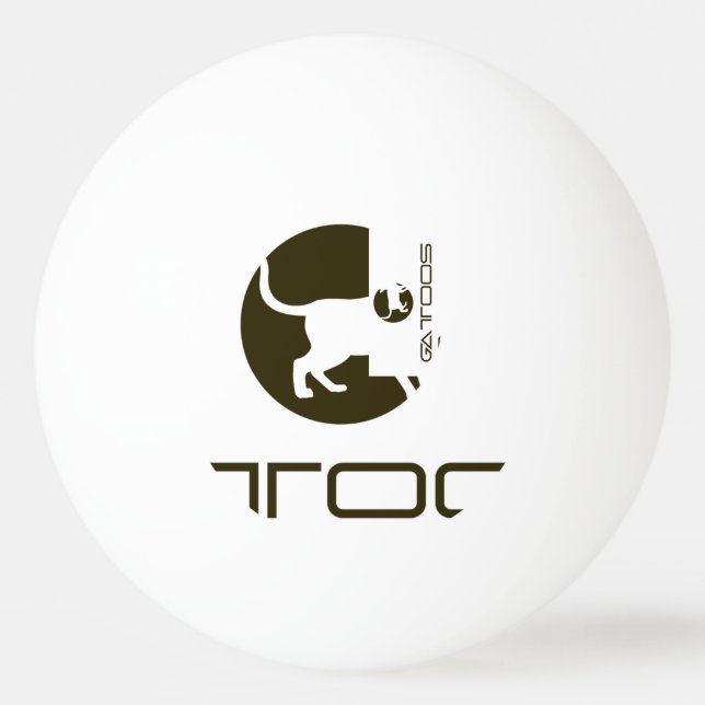 PONG PADDLE FÖR GATTOOS SPORT PINGISBOLL (Framsidan)