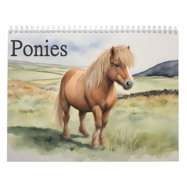 Ponies Kalender (Omslag)