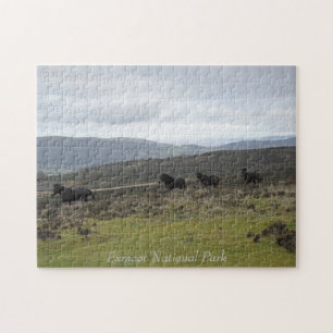 Ponies on Exmoor National Park, England Pussel