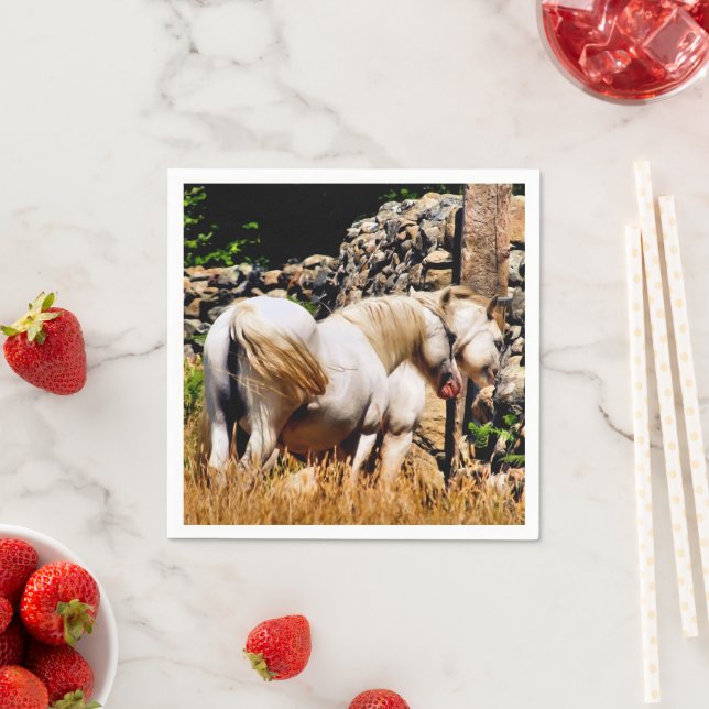 PONIES PAPPERSSERVETT (Insitu)