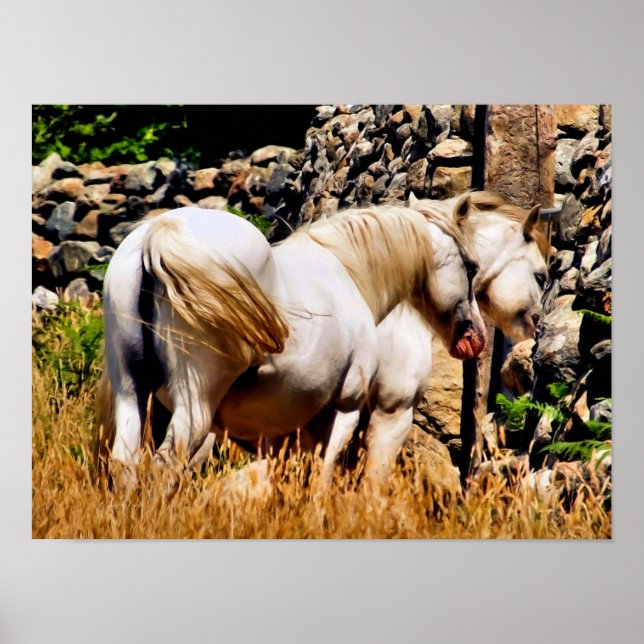 PONIES POSTER (Framsidan)