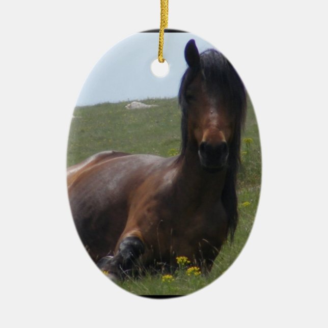 Ponny som vilar prydnadar julgransprydnad keramik (Framsidan)