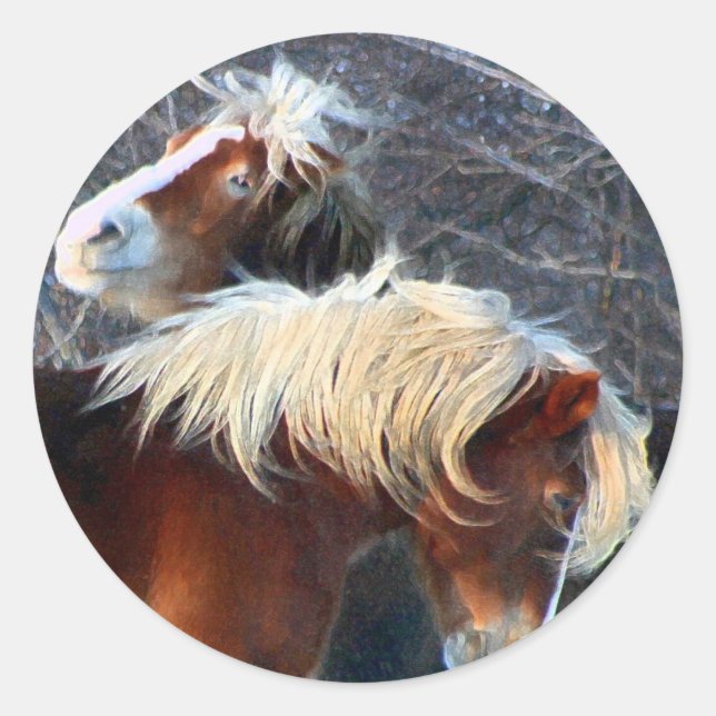 ponnyer runt klistermärke (Framsida)