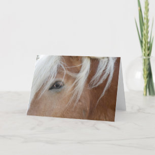Ponnyhälsningkort Kort