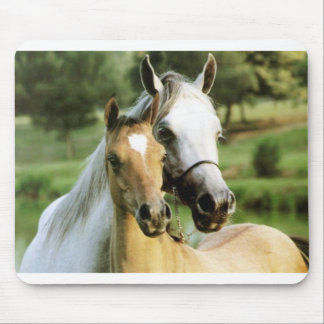 Ponnyn vadderar musmatta