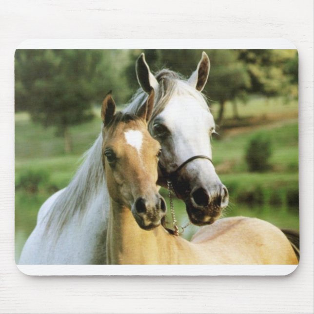 Ponnyn vadderar musmatta (Framsidan)