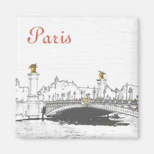 Pont Alexandre III on Seine River - Paris Frankrik Magnet