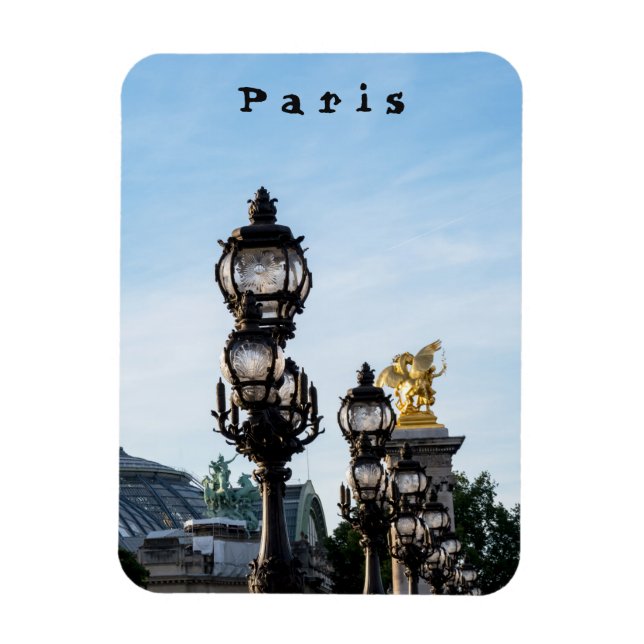 Pont Alexandre III - Paris, Frankrike Magnet (Vertikal)