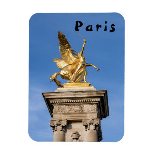 Pont Alexandre lll bridge - Paris, Frankrike Magnet