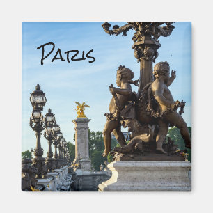 Pont Alexandre lll bridge - Paris, Frankrike Magnet