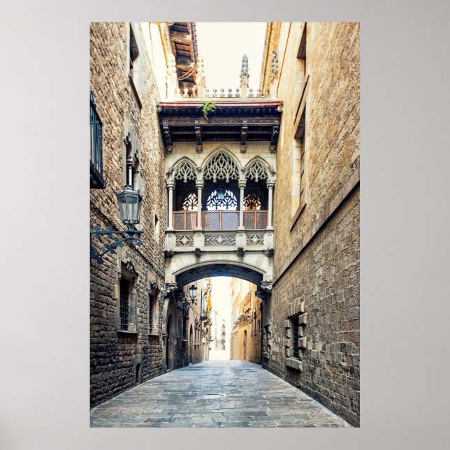 Pont del Bisbe Poster (Framsidan)