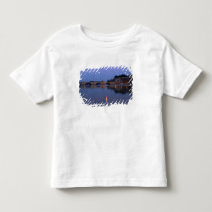 Pont St. Benezet-bron i Avignon vid T Shirt