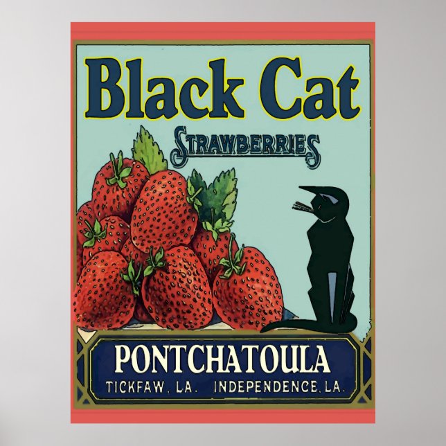 Pontchatoula Strawbär, Vintage Cat Poster (Framsidan)