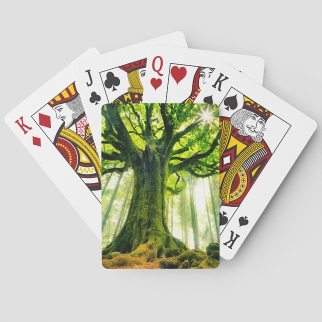 Ponthuss bokträd casinokort (Baksidan)