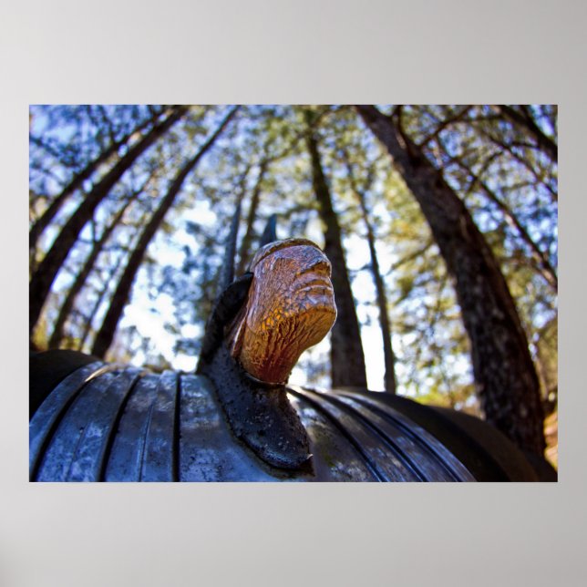 Pontiac Indian Huva Ornament (Brighter) Poster (Framsidan)