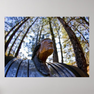 Pontiac Indian Huva Ornament Poster