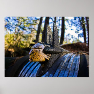 Pontiac Indian Huva Ornament Poster