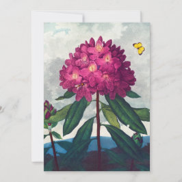 Pontisk Rhododendron, Antique-utskrift Julkort