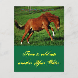 Pony Birthday vyvykort Vykort