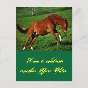 Pony Birthday vyvykort Vykort