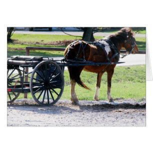 Pony Cart Hälsningskort