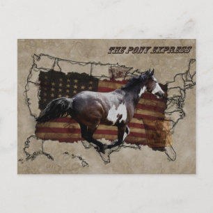 Pony Express Pinto Horse Deliving US Mail Vykort