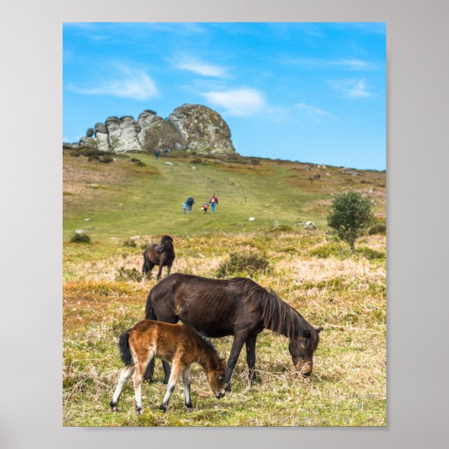 Pony Haytor sten i nationalparken Devon i Dartmoor Poster (Framsidan)