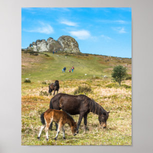 Pony Haytor sten i nationalparken Devon Poster