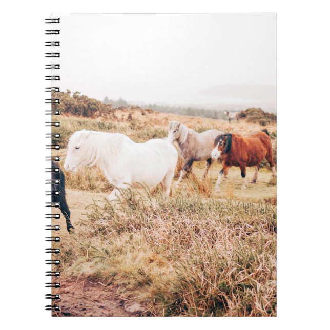 PONY HERD I ÖSTERN ANTECKNINGSBOK (Framsidan)