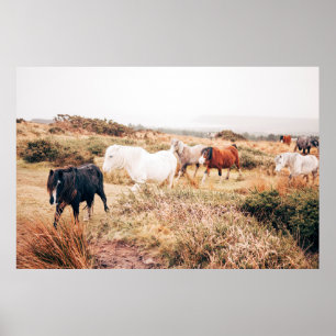 PONY HERD I ÖSTERN POSTER