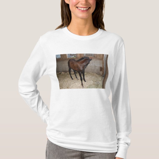 Pony/Horse T Shirt (Framsida)
