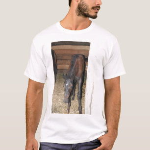 Pony/Horse Tee Shirt