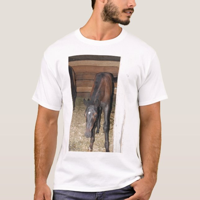 Pony/Horse Tee Shirt (Framsida)