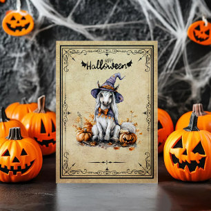 Pony Horse Witch Pumpkin Happy halloween Tack Kort