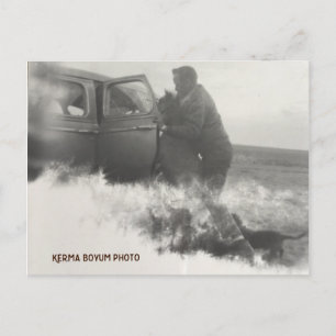 Pony i Car Postcard Vykort