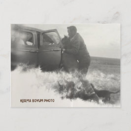 Pony i Car Postcard Vykort