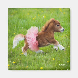 Pony i Tutu Magnet