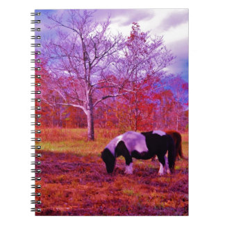 PONY IN A RAINBOW färgad fält Anteckningsbok Med Spiral