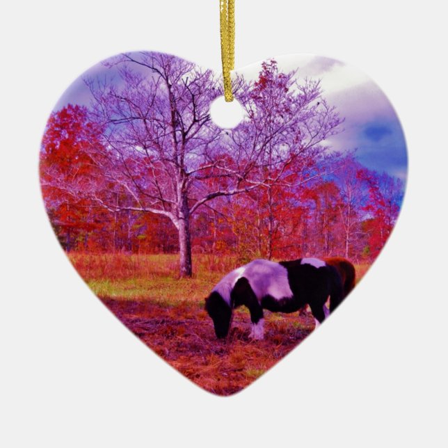 PONY IN A RAINBOW färgad fält Julgransprydnad Keramik (Framsidan)