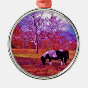 PONY IN A RAINBOW färgad fält Julgransprydnad Metall