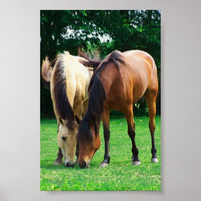 Pony Kärlek Poster (Framsidan)