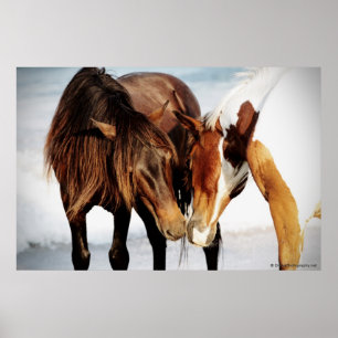 Pony Kärlek Poster