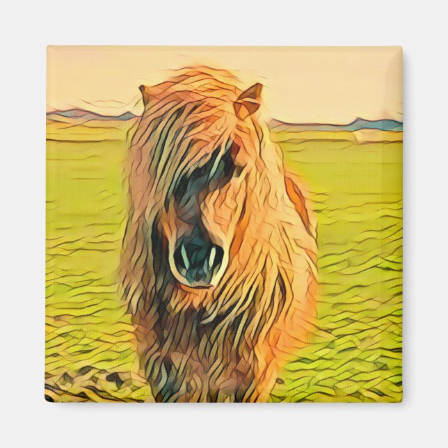 Pony Magnet (Framsidan)