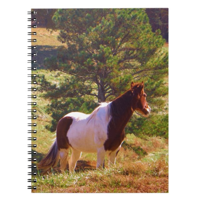 Pony målad av Gräs Anteckningsbok Med Spiral (Framsidan)