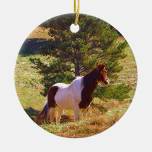 Pony målad av Gräs Julgransprydnad Keramik