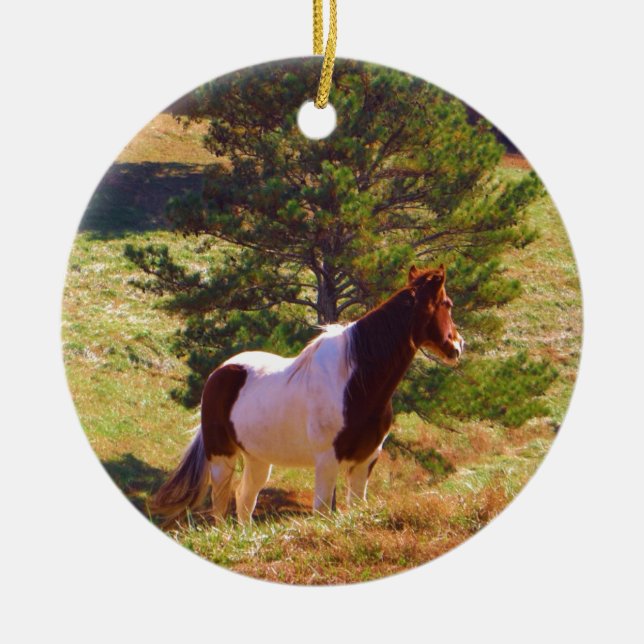 Pony målad av Gräs Julgransprydnad Keramik (Framsidan)