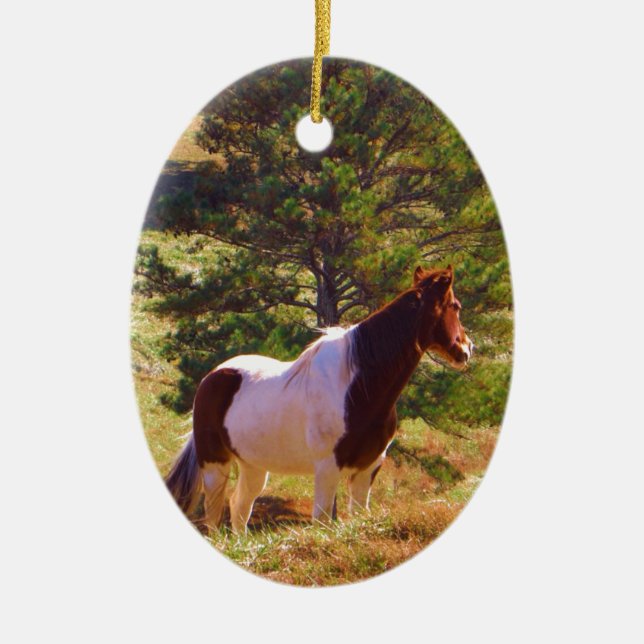 Pony målad av Gräs Julgransprydnad Keramik (Framsidan)