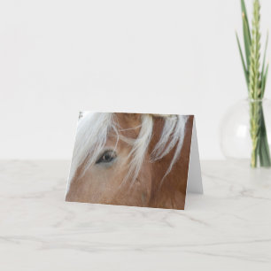 Pony notecard kort