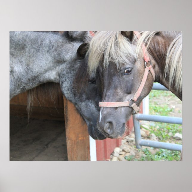 Pony Nuzzle Poster (Framsidan)