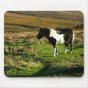 Pony på Dartmoor Musmatta